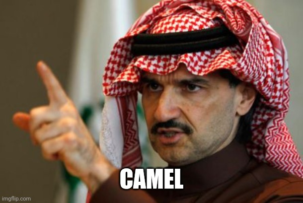arab | CAMEL | image tagged in arab | made w/ Imgflip meme maker