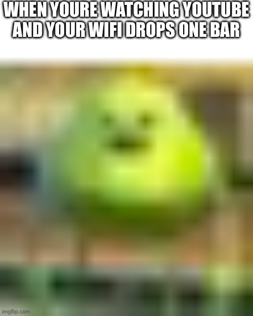 b r u h | WHEN YOURE WATCHING YOUTUBE AND YOUR WIFI DROPS ONE BAR | image tagged in memes,funny,youtube,sully wazowski,low quality,unnecessary tags | made w/ Imgflip meme maker