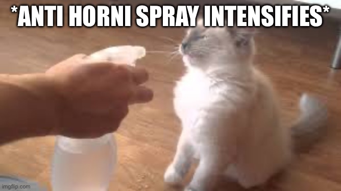 Spray bottle | *ANTI HORNI SPRAY INTENSIFIES* | image tagged in spray bottle | made w/ Imgflip meme maker