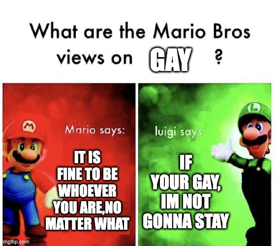 bruh | GAY; IT IS FINE TO BE WHOEVER YOU ARE,NO MATTER WHAT; IF YOUR GAY, IM NOT GONNA STAY | image tagged in mario bros views | made w/ Imgflip meme maker