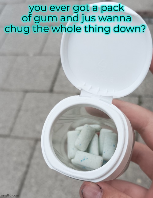 you ever got a pack of gum and jus wanna chug the whole thing down? | made w/ Imgflip meme maker