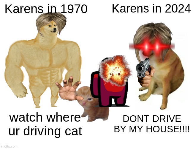 Buff Doge vs. Cheems | Karens in 1970; Karens in 2024; watch where ur driving cat; DONT DRIVE BY MY HOUSE!!!! | image tagged in memes,buff doge vs cheems | made w/ Imgflip meme maker