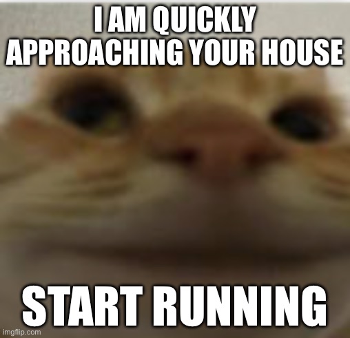 Front-Facing Camera Cat | I AM QUICKLY APPROACHING YOUR HOUSE; START RUNNING | image tagged in front-facing camera cat | made w/ Imgflip meme maker