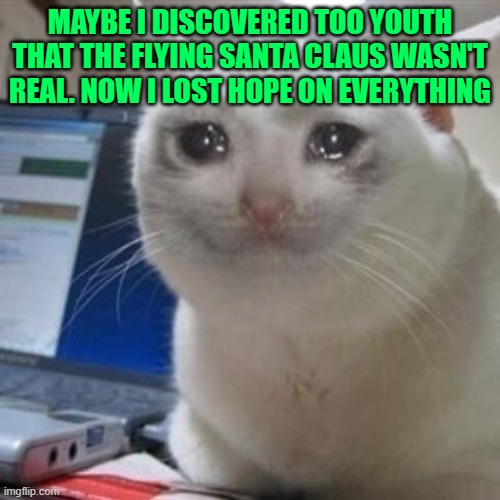 a bit silly this meme, i know... but i give you an advice: never give up in hope in something | MAYBE I DISCOVERED TOO YOUTH THAT THE FLYING SANTA CLAUS WASN'T REAL. NOW I LOST HOPE ON EVERYTHING | image tagged in sad cat tears | made w/ Imgflip meme maker