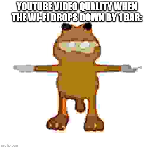 A common meme indeed... | YOUTUBE VIDEO QUALITY WHEN THE WI-FI DROPS DOWN BY 1 BAR: | image tagged in garfield t-pose,garfield,glitch,dank memes,funny,wifi drops | made w/ Imgflip meme maker