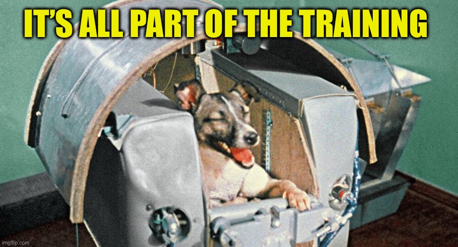 Laika | IT’S ALL PART OF THE TRAINING | image tagged in laika | made w/ Imgflip meme maker