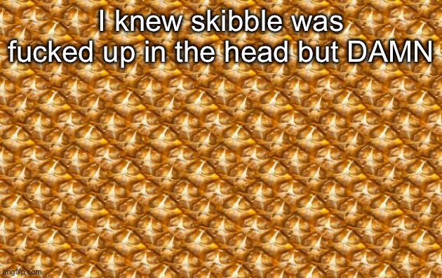 I knew skibble was fucked up in the head but DAMN | made w/ Imgflip meme maker