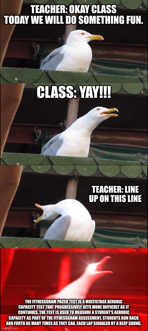 The fitness gram pacer test at school be like | TEACHER: OKAY CLASS TODAY WE WILL DO SOMETHING FUN. CLASS: YAY!!! TEACHER: LINE UP ON THIS LINE; THE FITNESSGRAM PACER TEST IS A MULTISTAGE AEROBIC CAPACITY TEST THAT PROGRESSIVELY GETS MORE DIFFICULT AS IT CONTINUES. THE TEST IS USED TO MEASURE A STUDENT'S AEROBIC CAPACITY AS PART OF THE FITNESSGRAM ASSESSMENT. STUDENTS RUN BACK AND FORTH AS MANY TIMES AS THEY CAN, EACH LAP SIGNALED BY A BEEP SOUND. | image tagged in memes,inhaling seagull | made w/ Imgflip meme maker