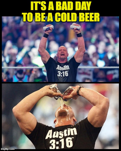 IT'S A BAD DAY TO BE A COLD BEER | image tagged in beer,craft beer,the most interesting man in the world,cold beer here,beer goggles,hold my beer | made w/ Imgflip meme maker