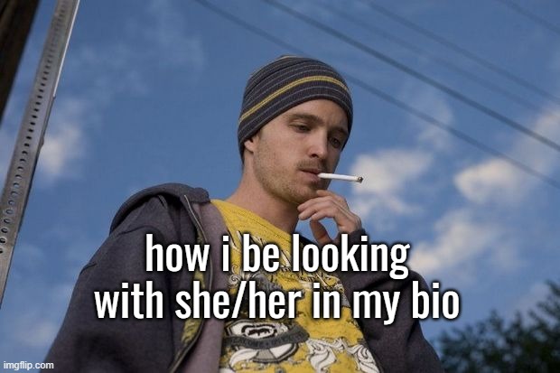 how i be looking with she/her in my bio | made w/ Imgflip meme maker
