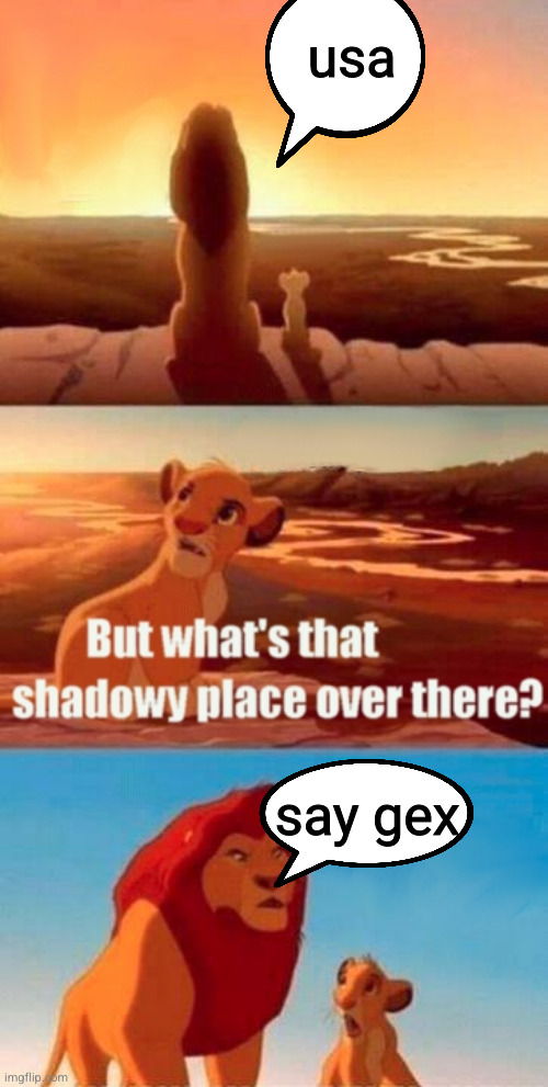 this took super long for no reason | usa; say gex | image tagged in memes,simba shadowy place | made w/ Imgflip meme maker