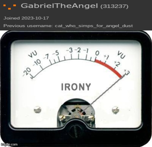 Irony Meter | image tagged in irony meter | made w/ Imgflip meme maker