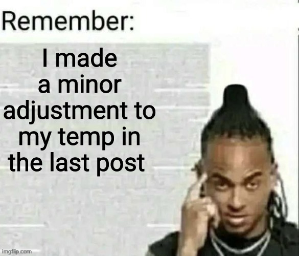 Remember | I made a minor adjustment to my temp in the last post | image tagged in remember | made w/ Imgflip meme maker