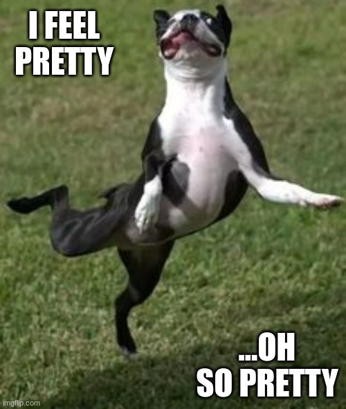 I FEEL PRETTY; ...OH SO PRETTY | image tagged in funny,memes,animals,fun | made w/ Imgflip meme maker