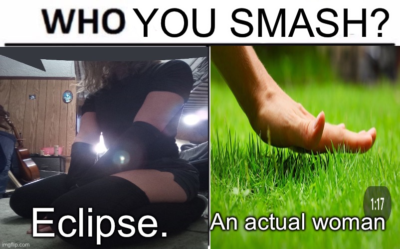 Who Would Win? Meme | YOU SMASH? Eclipse. An actual woman | image tagged in memes,who would win | made w/ Imgflip meme maker