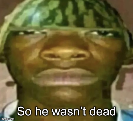 Watermelon Hat | So he wasn’t dead | image tagged in watermelon hat | made w/ Imgflip meme maker