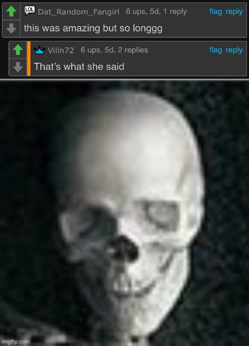 There are some damn good moments for that | image tagged in skull,thats what she said,cursed,comment,long,memes | made w/ Imgflip meme maker