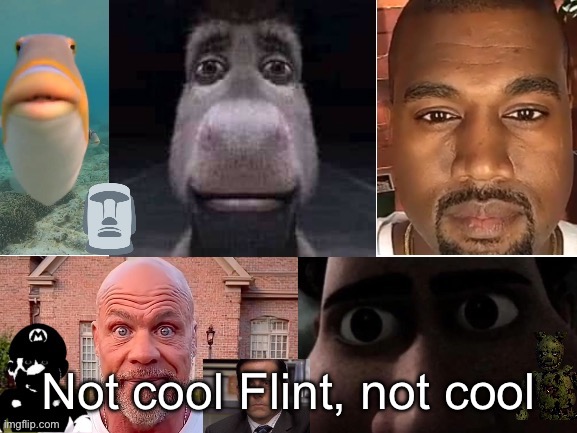 Is this guy serious? | Not cool Flint, not cool | image tagged in is this guy serious | made w/ Imgflip meme maker