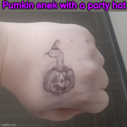 His name is Pumk. I drew him during class cuz i got bored. | Pumkin snek with a party hat | made w/ Imgflip meme maker