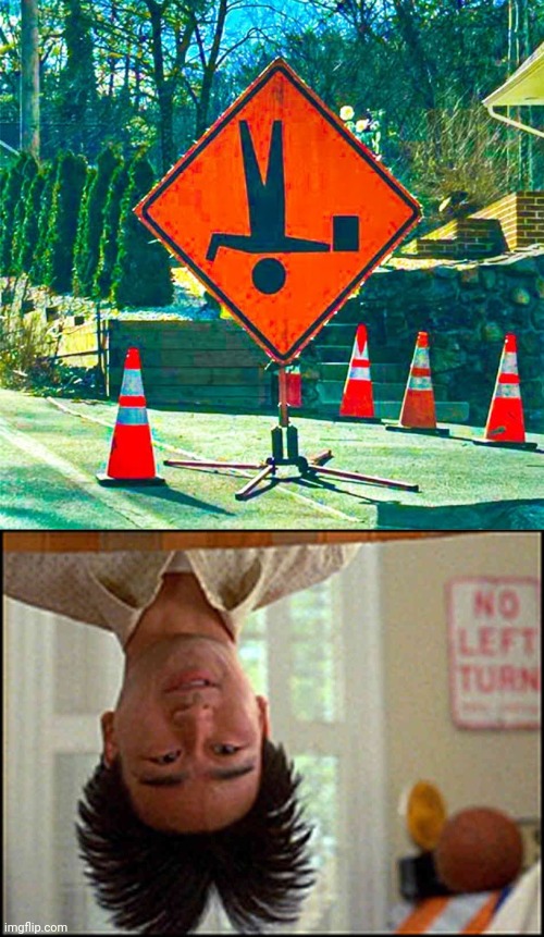 Upside down sign | image tagged in long duck dong upside down,you had one job,memes,upside down,sign,cones | made w/ Imgflip meme maker