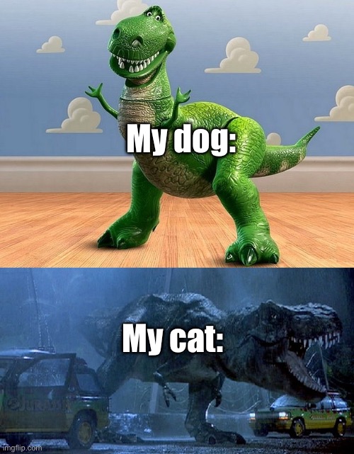 Fun-stream ah meme | My dog:; My cat: | image tagged in jurassic park toy story t-rex | made w/ Imgflip meme maker