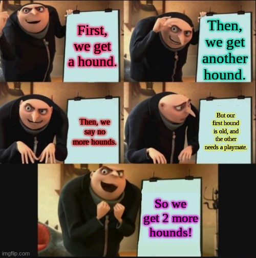 Hounds | First, we get a hound. Then, we get another hound. But our first hound is old, and the other needs a playmate. Then, we say no more hounds. So we get 2 more hounds! | image tagged in 5 panel gru meme | made w/ Imgflip meme maker