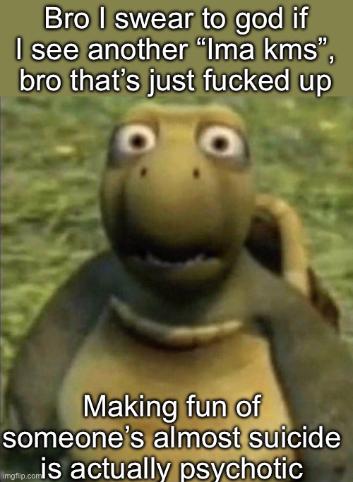 shocked turtle | Bro I swear to god if I see another “Ima kms”, bro that’s just fucked up; Making fun of someone’s almost suicide is actually psychotic | image tagged in shocked turtle | made w/ Imgflip meme maker