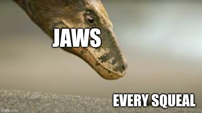 True | JAWS; EVERY SQUEAL | image tagged in dinosaurs | made w/ Imgflip meme maker