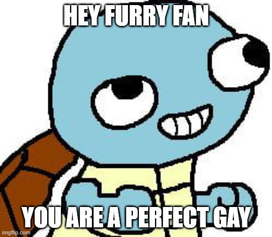 squirtle meme | HEY FURRY FAN YOU ARE A PERFECT GAY | image tagged in squirtle meme | made w/ Imgflip meme maker