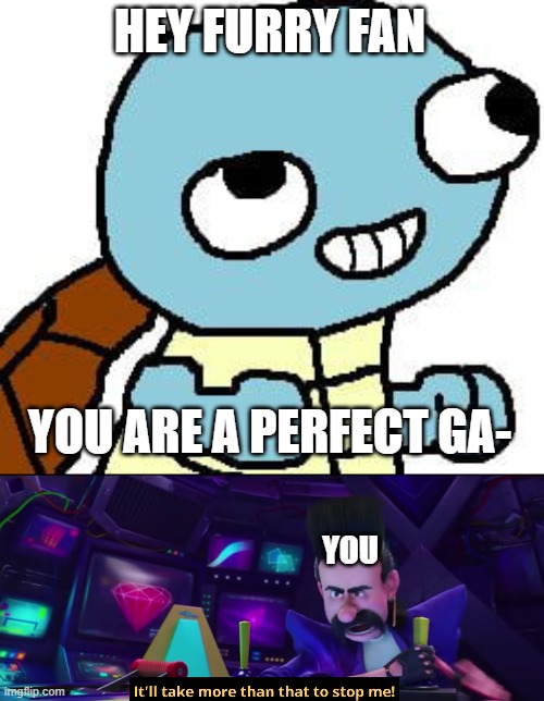 HEY FURRY FAN YOU ARE A PERFECT GA- YOU | image tagged in squirtle meme,it'll take more than that to stop me | made w/ Imgflip meme maker