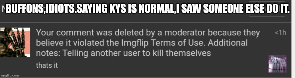 BUFFONS,IDIOTS.SAYING KYS IS NORMAL,I SAW SOMEONE ELSE DO IT. | made w/ Imgflip meme maker