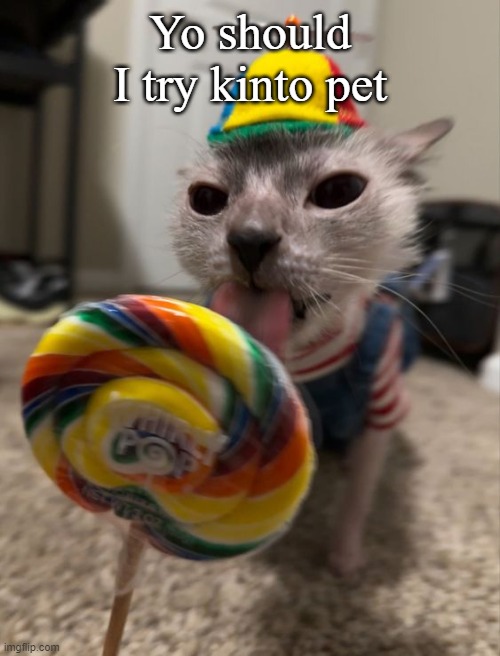silly goober | Yo should I try kinto pet | image tagged in silly goober | made w/ Imgflip meme maker