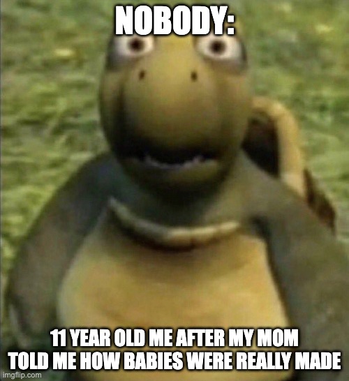 Turtle from over the hedge | NOBODY:; 11 YEAR OLD ME AFTER MY MOM TOLD ME HOW BABIES WERE REALLY MADE | image tagged in turtle from over the hedge | made w/ Imgflip meme maker