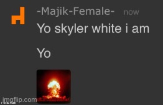 Yo skyler white i am | image tagged in yo skyler white i am | made w/ Imgflip meme maker