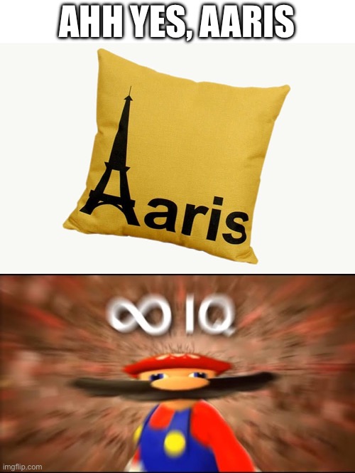 Aaris (you had ONE job chapter 10) | AHH YES, AARIS | image tagged in infinite iq,you had one job,pillow,paris | made w/ Imgflip meme maker