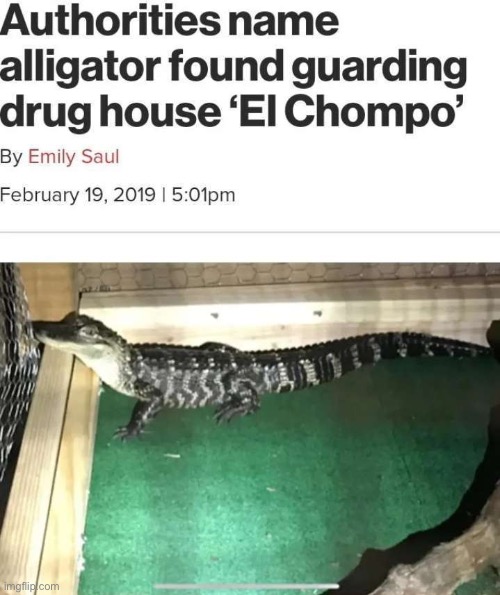 El Chompo | made w/ Imgflip meme maker