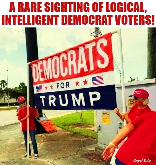 a rare sighting of logical, intelligent democrat voters | A RARE SIGHTING OF LOGICAL,
INTELLIGENT DEMOCRAT VOTERS! Angel Soto | image tagged in a rare sighting of logical intelligent democrats,democrats,trump,intelligent,logical,voters | made w/ Imgflip meme maker