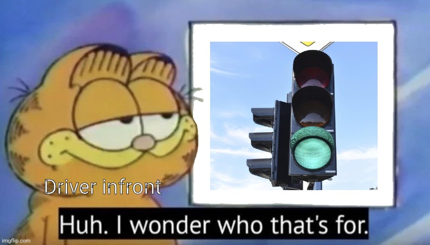 Garfield looking at the sign | Driver infront | image tagged in garfield looking at the sign,garfield,traffic light,bad drivers,road,memes | made w/ Imgflip meme maker