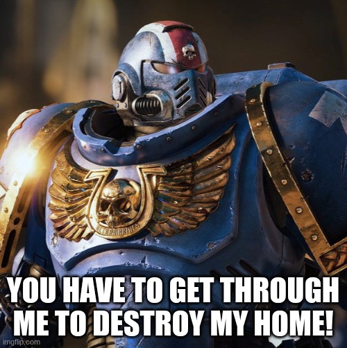 space marine morale | YOU HAVE TO GET THROUGH ME TO DESTROY MY HOME! | image tagged in space marine morale | made w/ Imgflip meme maker