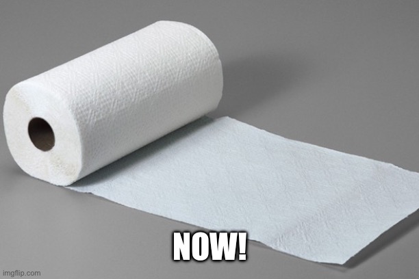 paper towel | NOW! | image tagged in paper towel | made w/ Imgflip meme maker