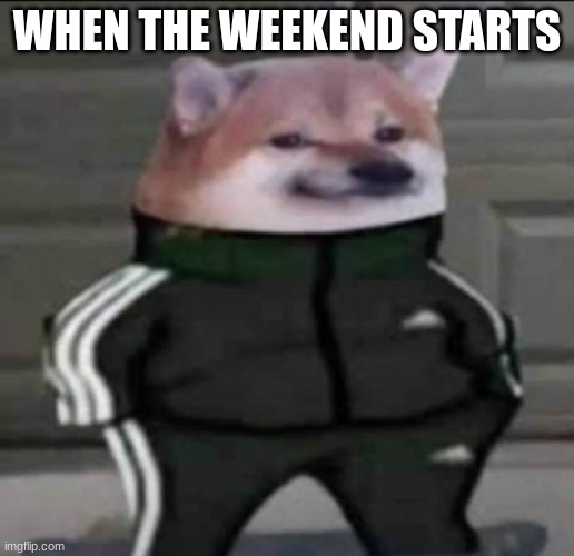 weekends | WHEN THE WEEKEND STARTS | image tagged in slav doge | made w/ Imgflip meme maker