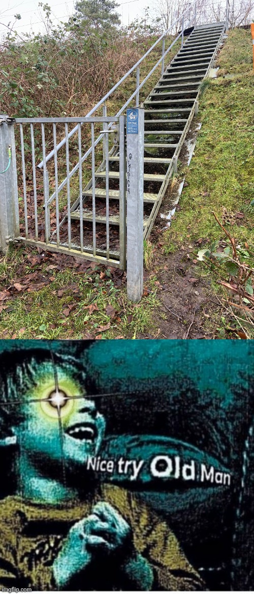 Close enough tho gate | image tagged in nice try old man,gates,gate,you had one job,memes,steps | made w/ Imgflip meme maker