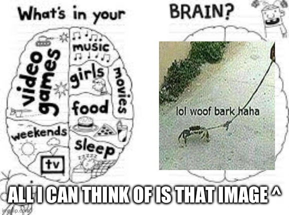 whats in your brain? | ALL I CAN THINK OF IS THAT IMAGE ^ | image tagged in whats in your brain,wowzers | made w/ Imgflip meme maker