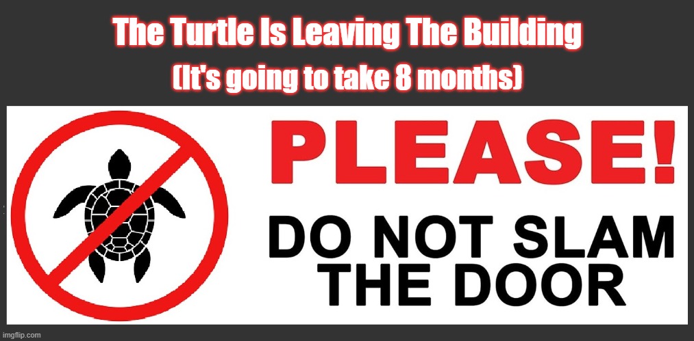 The Turtle Is Leaving The Building (It's going to take 8 months) | made w/ Imgflip meme maker