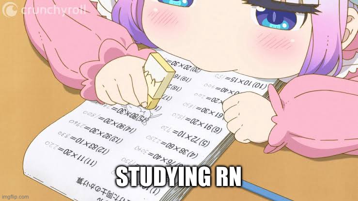 Studying | STUDYING RN | image tagged in anime,work | made w/ Imgflip meme maker