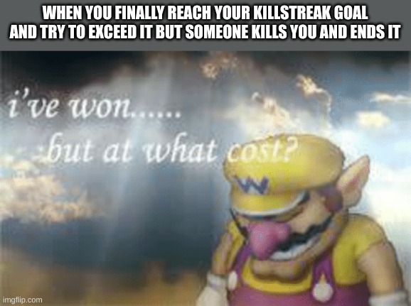 When someone ends your killstreak in a PVP game | WHEN YOU FINALLY REACH YOUR KILLSTREAK GOAL AND TRY TO EXCEED IT BUT SOMEONE KILLS YOU AND ENDS IT | image tagged in i've won but at what cost | made w/ Imgflip meme maker