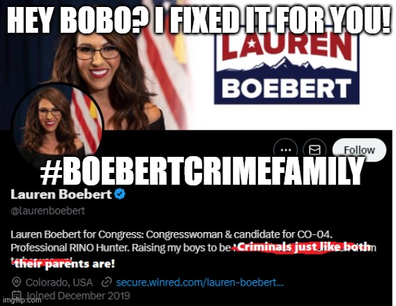Bobo's updated Twitter Bio | HEY BOBO? I FIXED IT FOR YOU! #BOEBERTCRIMEFAMILY | image tagged in bobo's updated twitter bio | made w/ Imgflip meme maker