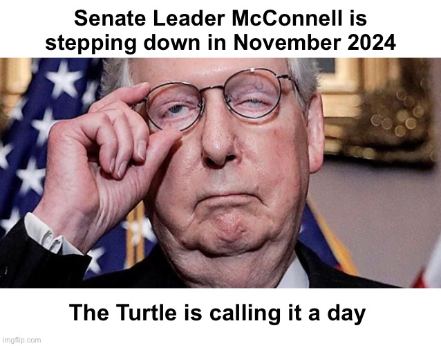 This should have happened long ago | Senate Leader McConnell is
stepping down in November 2024; The Turtle is calling it a day | image tagged in turtle | made w/ Imgflip meme maker