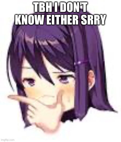 Thonking Yuri | TBH I DON’T KNOW EITHER SRRY | image tagged in thonking yuri | made w/ Imgflip meme maker