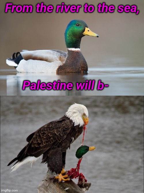 Duck Eviscerated | From the river to the sea, Palestine will b- | image tagged in duck eviscerated,palestine,nope,patriotic eagle | made w/ Imgflip meme maker